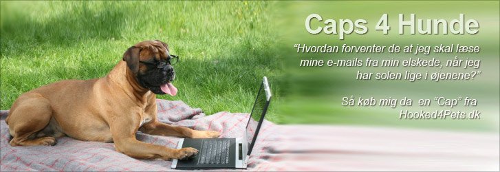 Hunde Caps Hundetilbehør og hundetøj