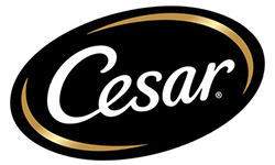 Cesar