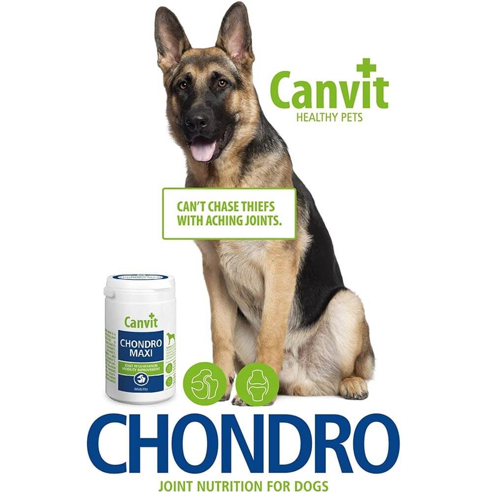 Canvit Chondro Maxi Valg Hund Tabs 500g