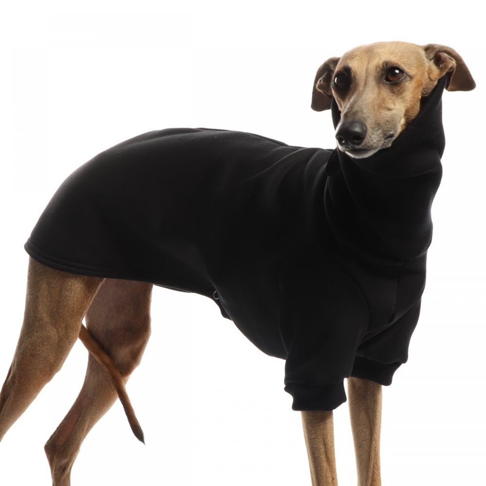 Anger død Oversigt DogGear Outdoor Winter Sweatshirt Hunde Tøj til Mynder Sort