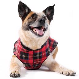 GoldPaw Hunde Fleece Stretch Pullover Red Plaid Tartan