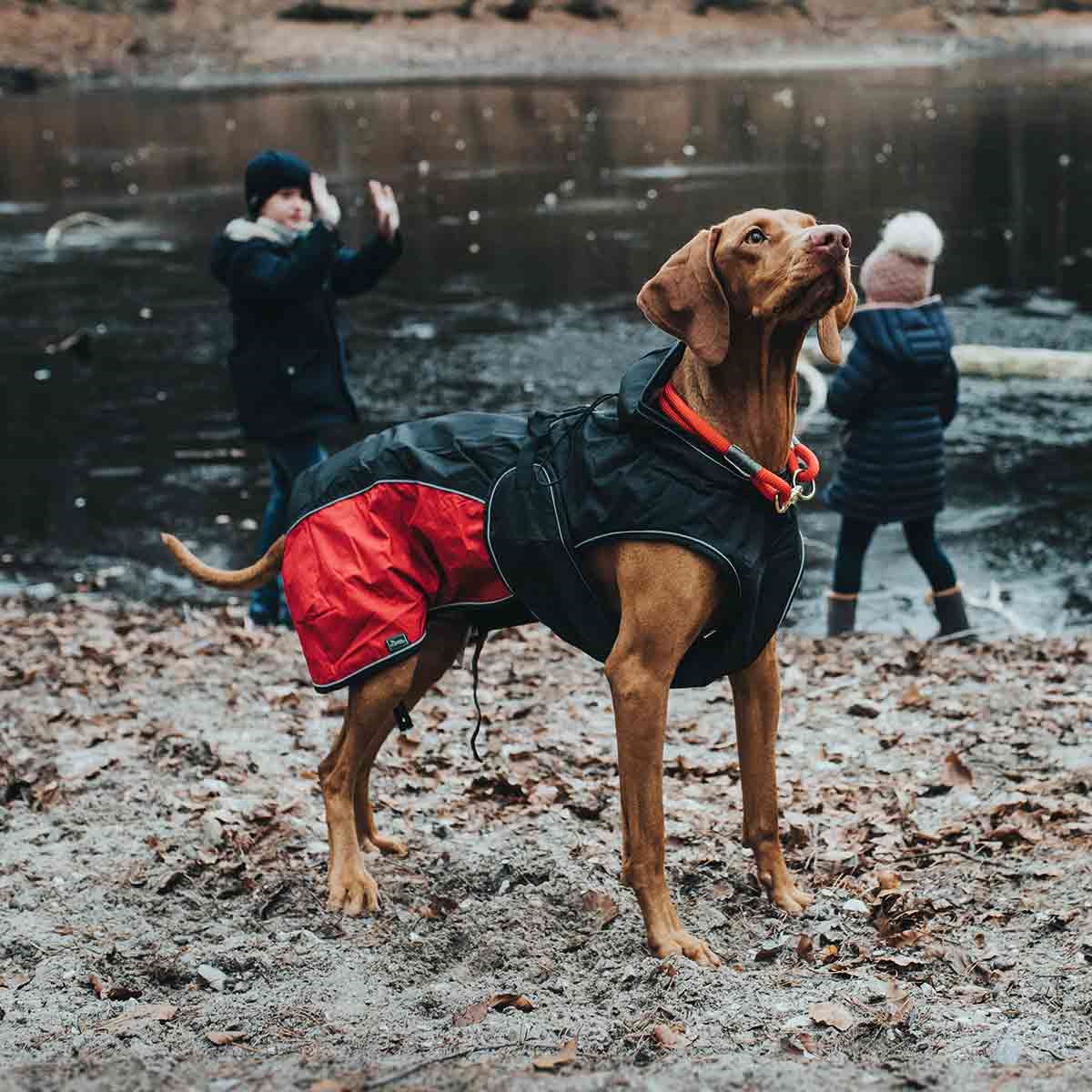 Thicken bruger Det Hunter Uppsala Allrounder HundeJakke 2i1 Antracit Rød