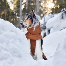 Regn jakke til hund