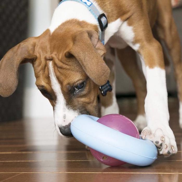 KONG Puppy Gyro Aktivitetslegetøj Til Hvalpen & Den Lille Hund Blå