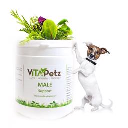 VitaPetz Male Support Hormonelle Ubalancer Hos Hanhunden