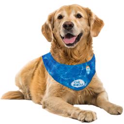 All For Paws Chill Out Ice Bandana Smart Køle Tørklæde