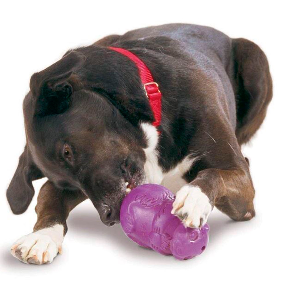 PetSafe Busy Buddy Waggle Dog Toy, Treat Dispensing Dog, Medium