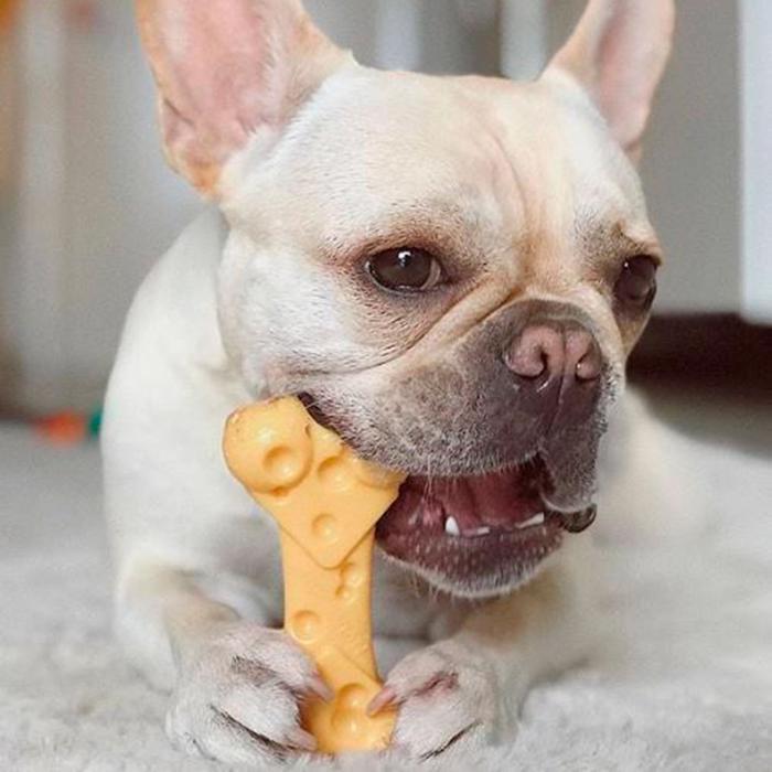 Nylabone Extreme Chew Cheese Bone Tyggelegetøj Med Ostesmag