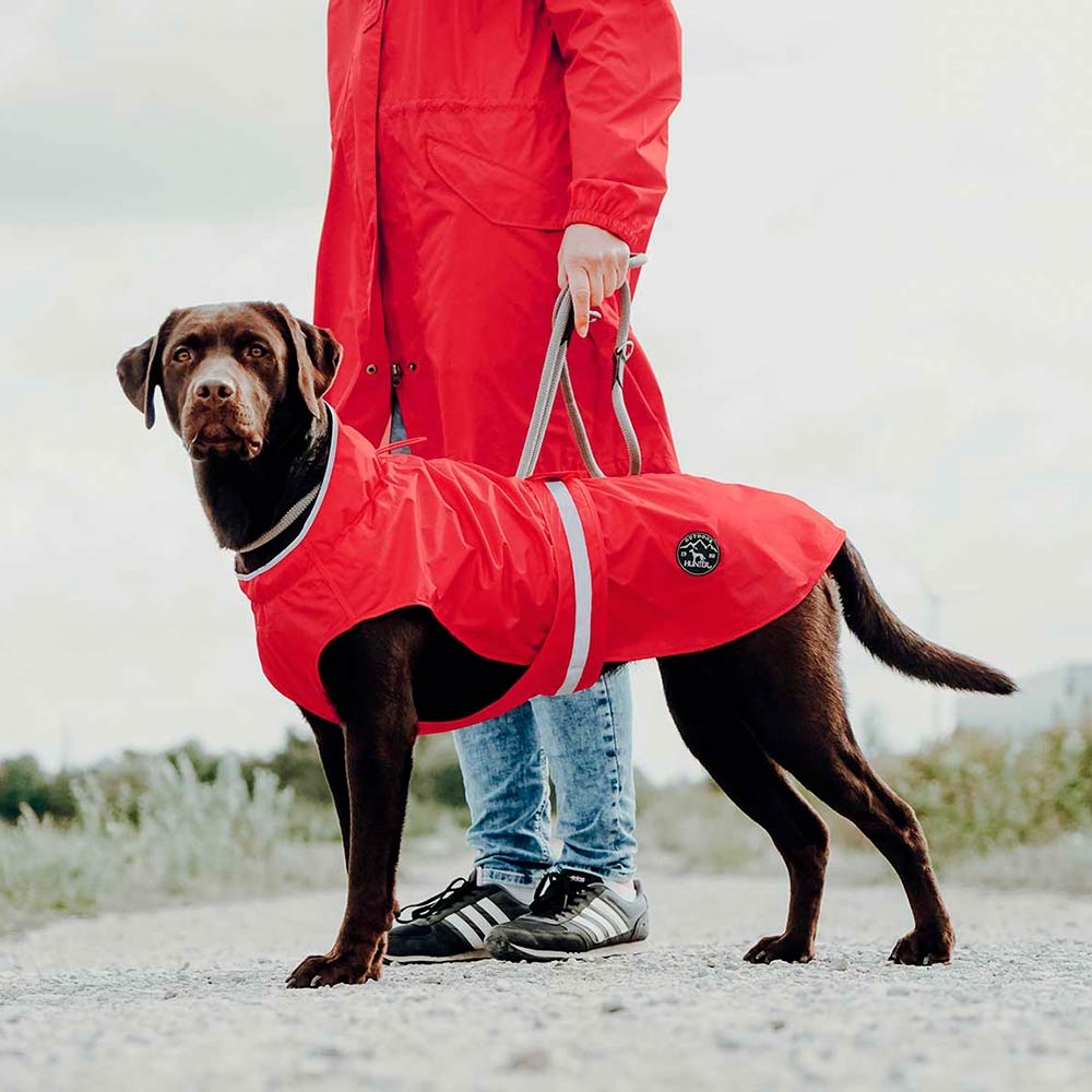 Forhøre cerebrum Tilbageholde Hunter Uppsala Rain Regnjakke Til Hunden i Rød