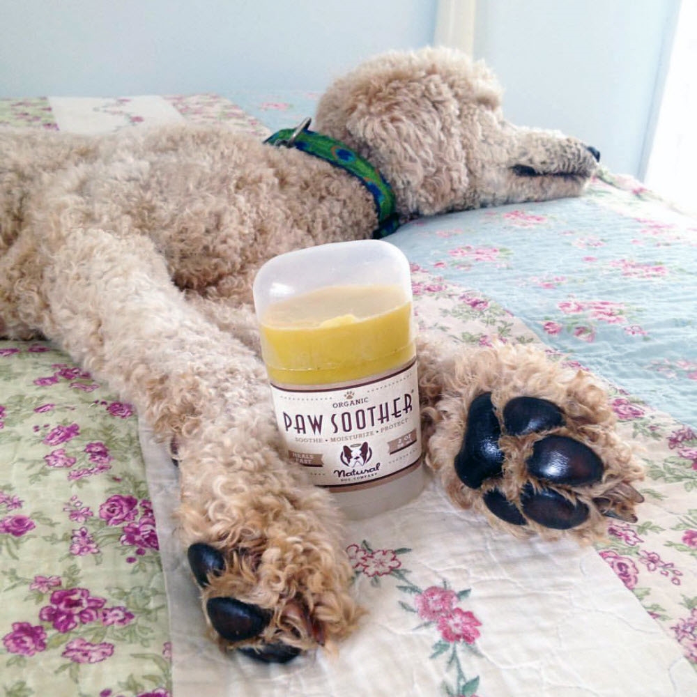 Natural Dog Company Paw Soother 59ml Creme Stick